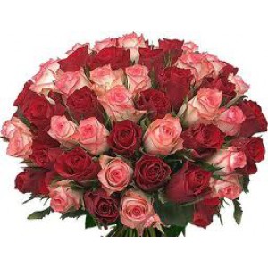 Букет від 51 рожевих і червоних троянд 