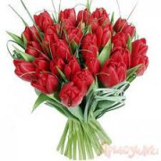 Пишний букет з червоних тюльпанів